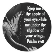 FAVORITE  BIBLE SCRIPTURE PSALM 17:8
