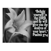 FAVORITE  BIBLE SCRIPTURE PSALM 37:4 POSTCARD