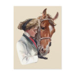 Favourite Horse postcards