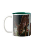 Fawn and Fairies Mug