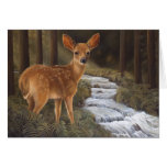 Fawn Card