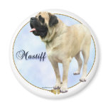 Fawn Mastiff Portrait magnets