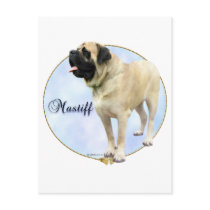 Fawn Mastiff Portrait Post Cards