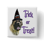Fawn Mastiff Trick Button