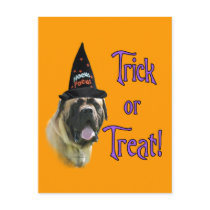 Fawn Mastiff Trick Postcard