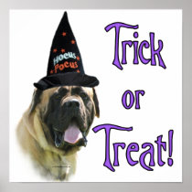 Fawn Mastiff Trick Poster