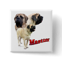 Fawn Mastiff Trio Button