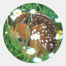 fawn round sticker