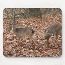 Fawns Mouse Pad