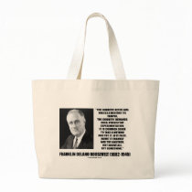 FDR Country Needs Bold Persistent Experimentation Bag