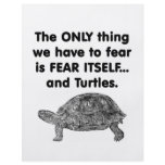Fear Itself Turtles flyers