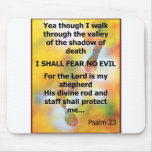 Fear No Evil Psalm Scripture spray painting Mouse Pads