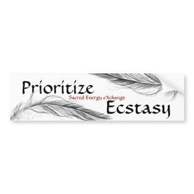 feather, bird feather 1, bird feather 1, Ecstas... Bumper Stickers by DanSir