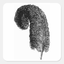 Feather Sticker