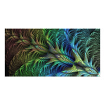 Feather tail Photo