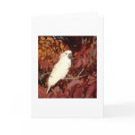 Feathered Family Cockatoo Note Card