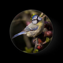 Feathered Jewel Badge buttons