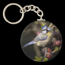 Feathered Jewel Keyring keychains