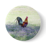 Feathered Pride buttons