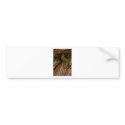 Feathered Pueo bumper stickers
