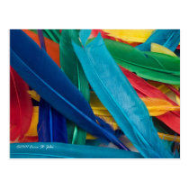 Featherly Postcard postcards