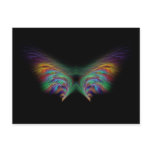 feathers 2 postcards