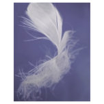 Feathers are symbols of spirituality flyers