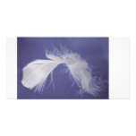 Feathers are symbols of spirituality photo cards