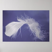 Feathers are symbols of spirituality poster