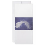 Feathers are symbols of spirituality rack cards