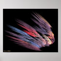 Feathers posters