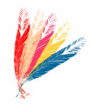 Feathers t-shirts