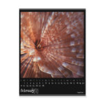february 2010 calendar postcards
