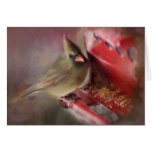 Feeding Cardinal