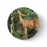 Feeding Deer buttons