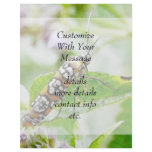 Feeding – Ermine Moth on Agastache flyers