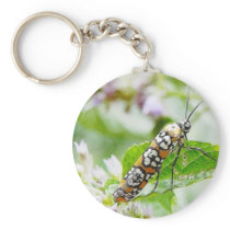 Feeding – Ermine Moth on Agastache