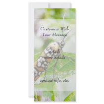 Feeding – Ermine Moth on Agastache Custom Rack Card