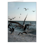 Feeding Frenzy Card