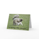 Feeding_Lambs, I'm feeling a little sheepish... Cards
