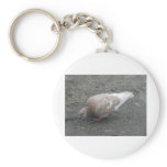Feeding Pigeon keychains