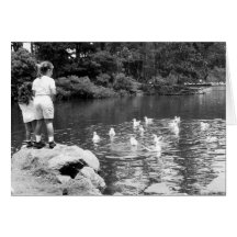 Feeding the Ducks notecard