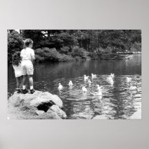 Feeding the Ducks poster