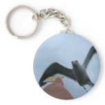 Feeding the Gulls keychains