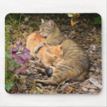 Feeding time mousepads