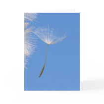 Feel free - flying Dandelion seed in blue sky
