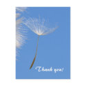 Feel free - Flying Dandelion seed postcards