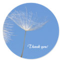 Feel free - Flying Dandelion seed stickers