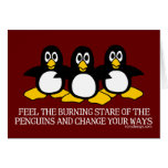 Feel The Burning Stare Of The Penguins Greeting Cards