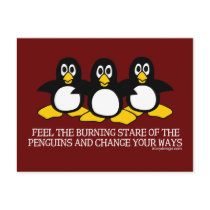 Feel The Burning Stare Of The Penguins